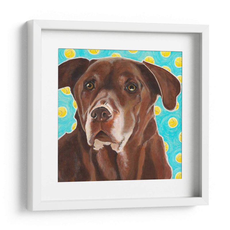 Dogs Dlynns - Consigue Tu Pelota - Dylnn Roll | Cuadro decorativo de Canvas Lab