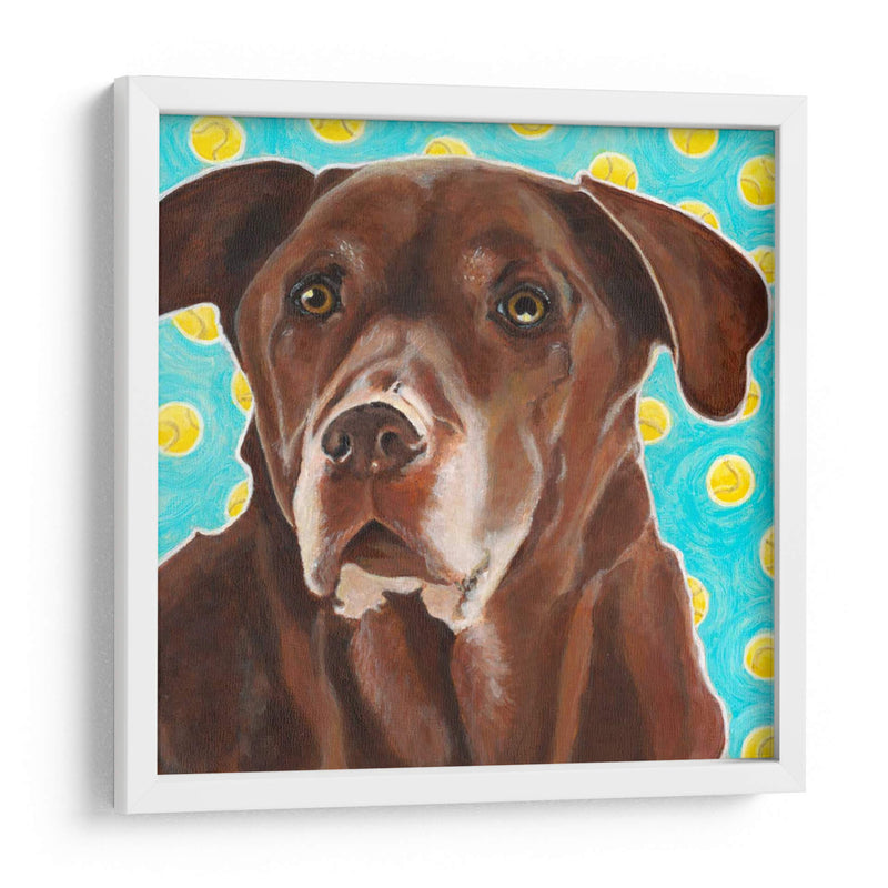 Dogs Dlynns - Consigue Tu Pelota - Dylnn Roll | Cuadro decorativo de Canvas Lab