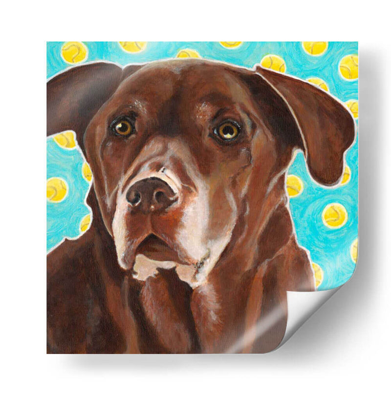 Dogs Dlynns - Consigue Tu Pelota - Dylnn Roll | Cuadro decorativo de Canvas Lab