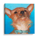 Perros De Dlynns - Gratitud - Dylnn Roll | Cuadro decorativo de Canvas Lab