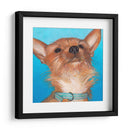 Perros De Dlynns - Gratitud - Dylnn Roll | Cuadro decorativo de Canvas Lab