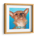 Perros De Dlynns - Gratitud - Dylnn Roll | Cuadro decorativo de Canvas Lab