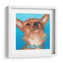 Perros De Dlynns - Gratitud - Dylnn Roll | Cuadro decorativo de Canvas Lab