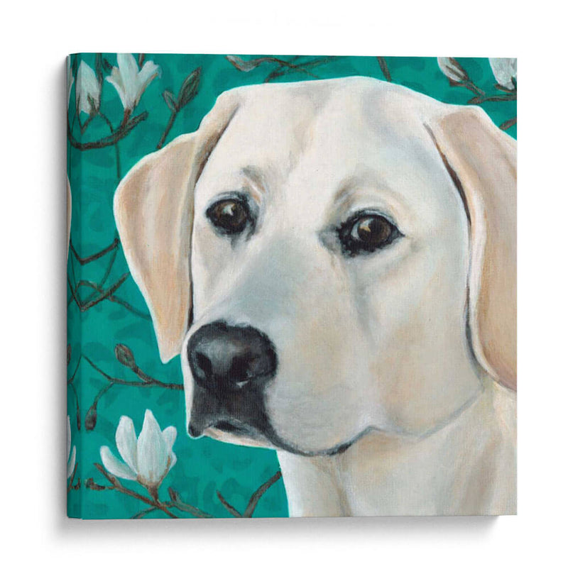 Dogs Dlynns - Magnolia - Dylnn Roll | Cuadro decorativo de Canvas Lab