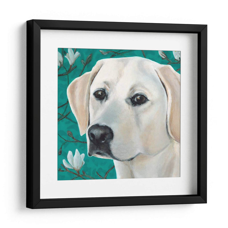 Dogs Dlynns - Magnolia - Dylnn Roll | Cuadro decorativo de Canvas Lab