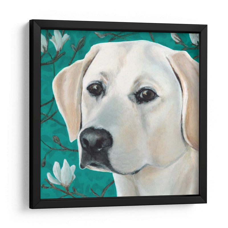 Dogs Dlynns - Magnolia - Dylnn Roll | Cuadro decorativo de Canvas Lab