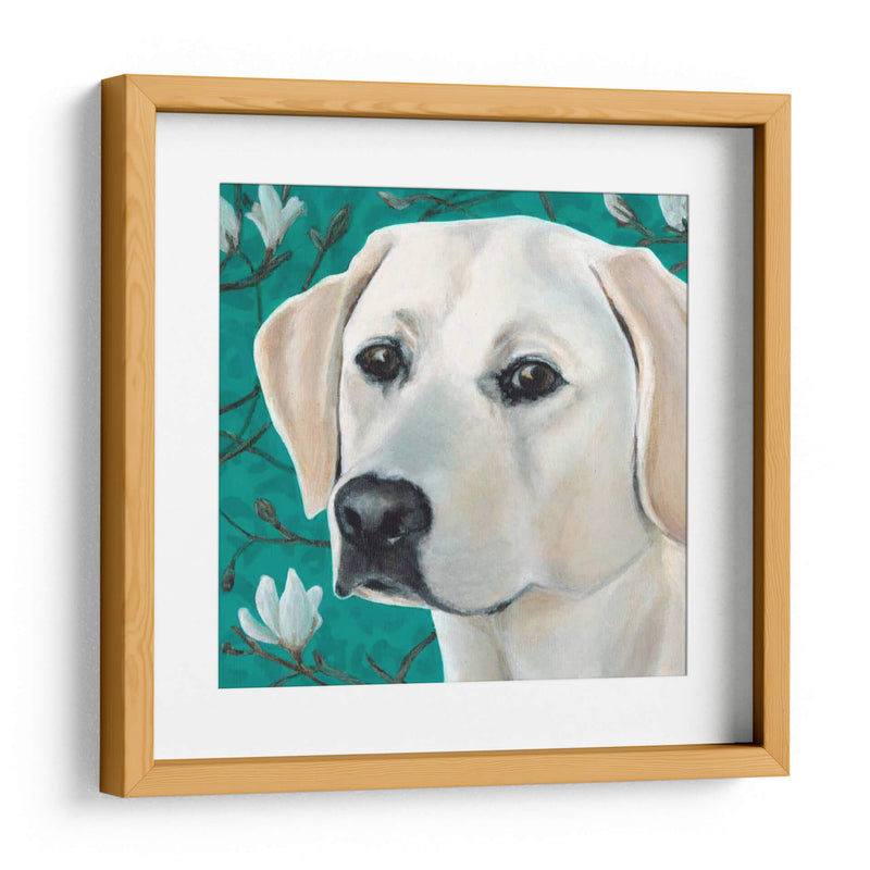 Dogs Dlynns - Magnolia - Dylnn Roll | Cuadro decorativo de Canvas Lab