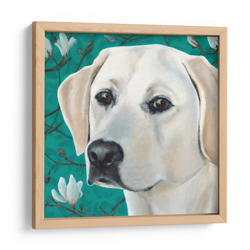 Dogs Dlynns - Magnolia - Dylnn Roll | Cuadro decorativo de Canvas Lab