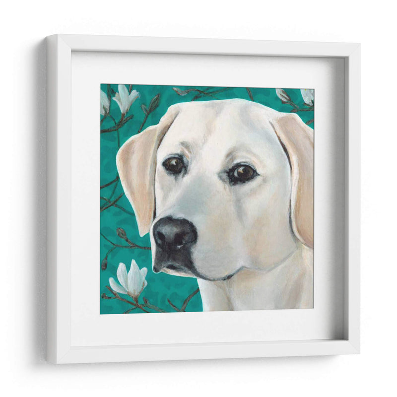 Dogs Dlynns - Magnolia - Dylnn Roll | Cuadro decorativo de Canvas Lab