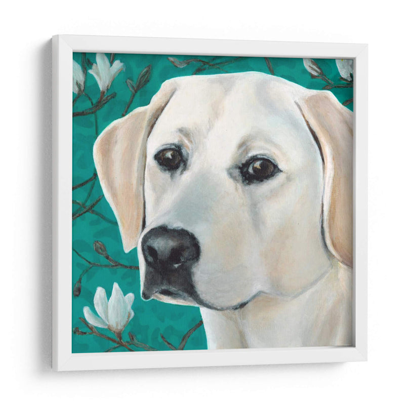 Dogs Dlynns - Magnolia - Dylnn Roll | Cuadro decorativo de Canvas Lab