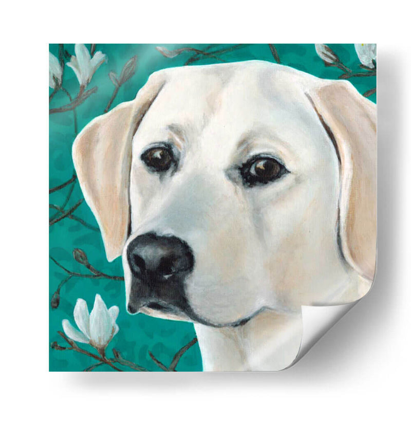 Dogs Dlynns - Magnolia - Dylnn Roll | Cuadro decorativo de Canvas Lab