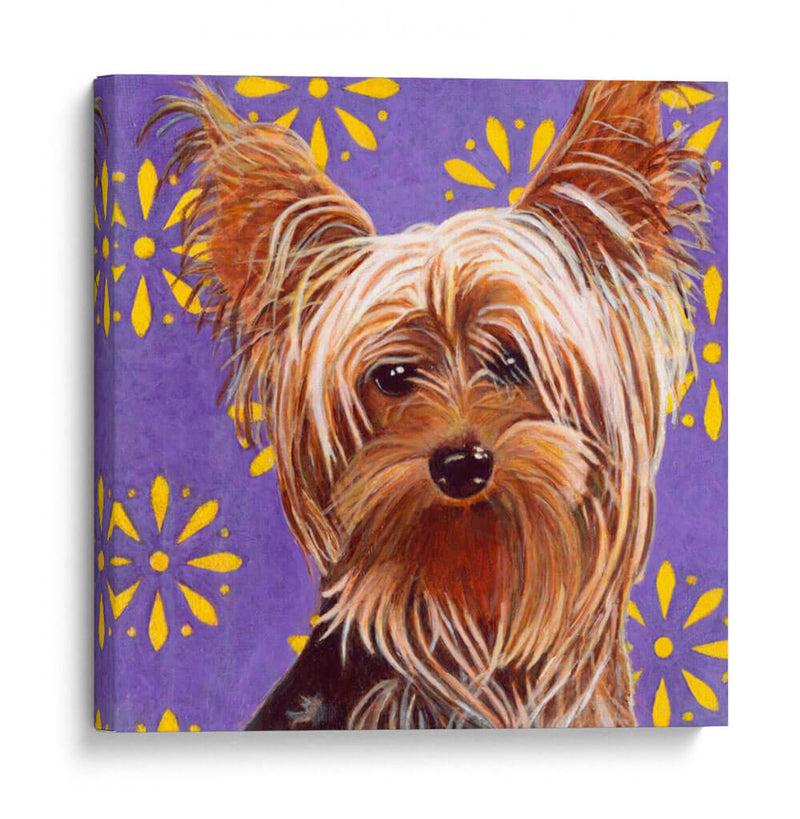 Dogs Dlynns - Ringo - Dylnn Roll | Cuadro decorativo de Canvas Lab