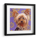 Dogs Dlynns - Ringo - Dylnn Roll | Cuadro decorativo de Canvas Lab
