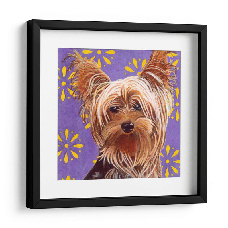 Dogs Dlynns - Ringo - Dylnn Roll | Cuadro decorativo de Canvas Lab