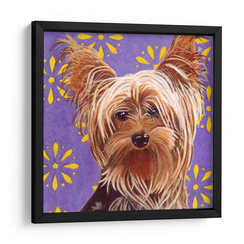 Dogs Dlynns - Ringo - Dylnn Roll | Cuadro decorativo de Canvas Lab