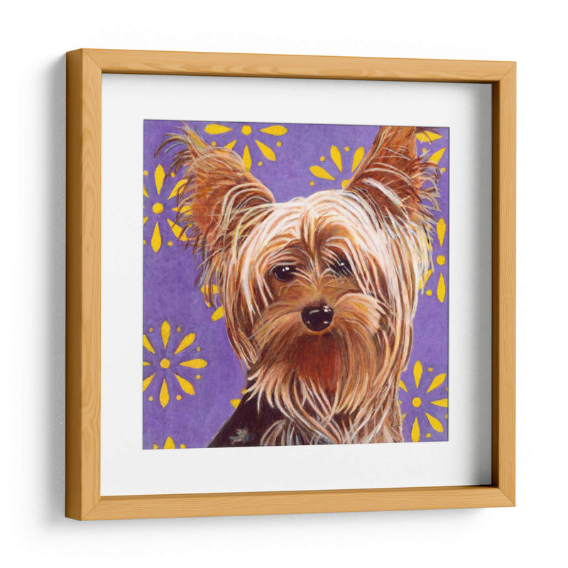 Dogs Dlynns - Ringo - Dylnn Roll | Cuadro decorativo de Canvas Lab