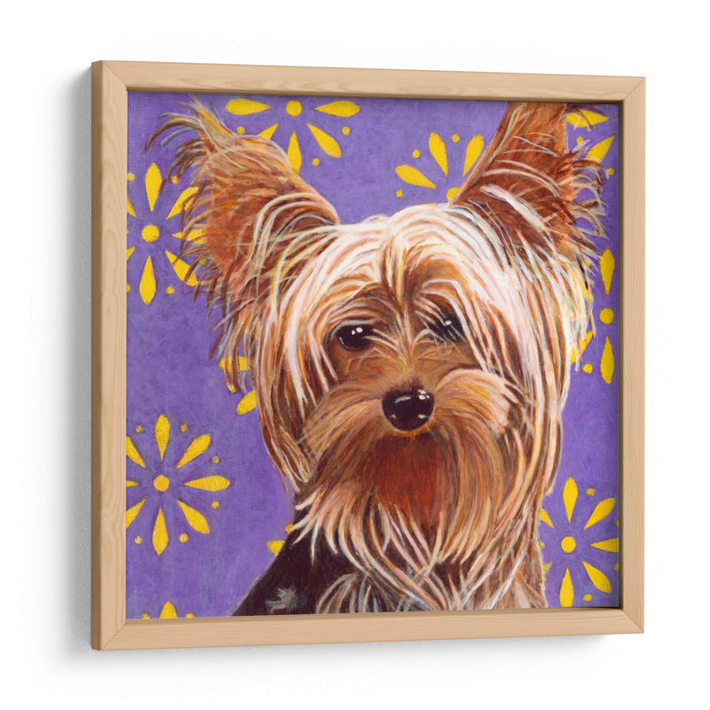 Dogs Dlynns - Ringo - Dylnn Roll | Cuadro decorativo de Canvas Lab