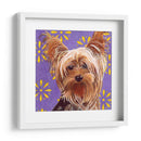 Dogs Dlynns - Ringo - Dylnn Roll | Cuadro decorativo de Canvas Lab