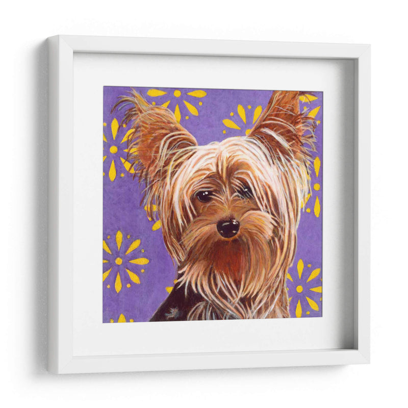 Dogs Dlynns - Ringo - Dylnn Roll | Cuadro decorativo de Canvas Lab