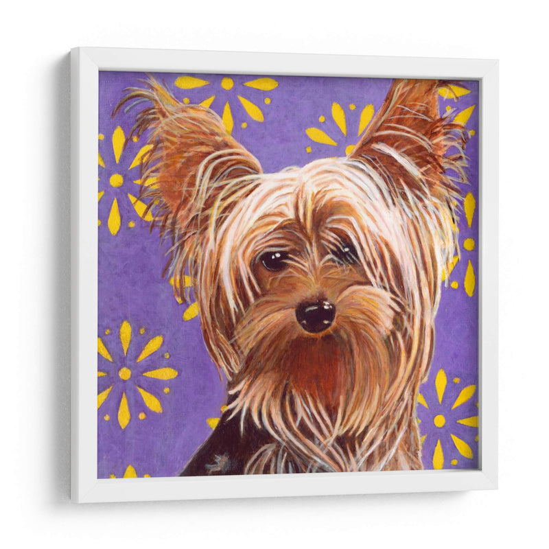 Dogs Dlynns - Ringo - Dylnn Roll | Cuadro decorativo de Canvas Lab