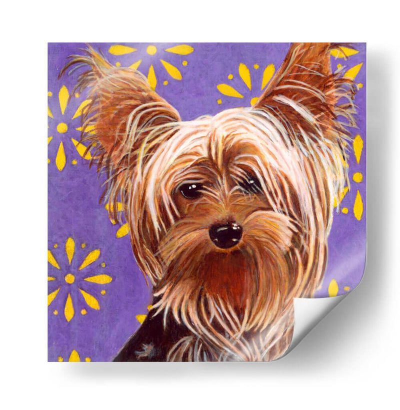 Dogs Dlynns - Ringo - Dylnn Roll | Cuadro decorativo de Canvas Lab