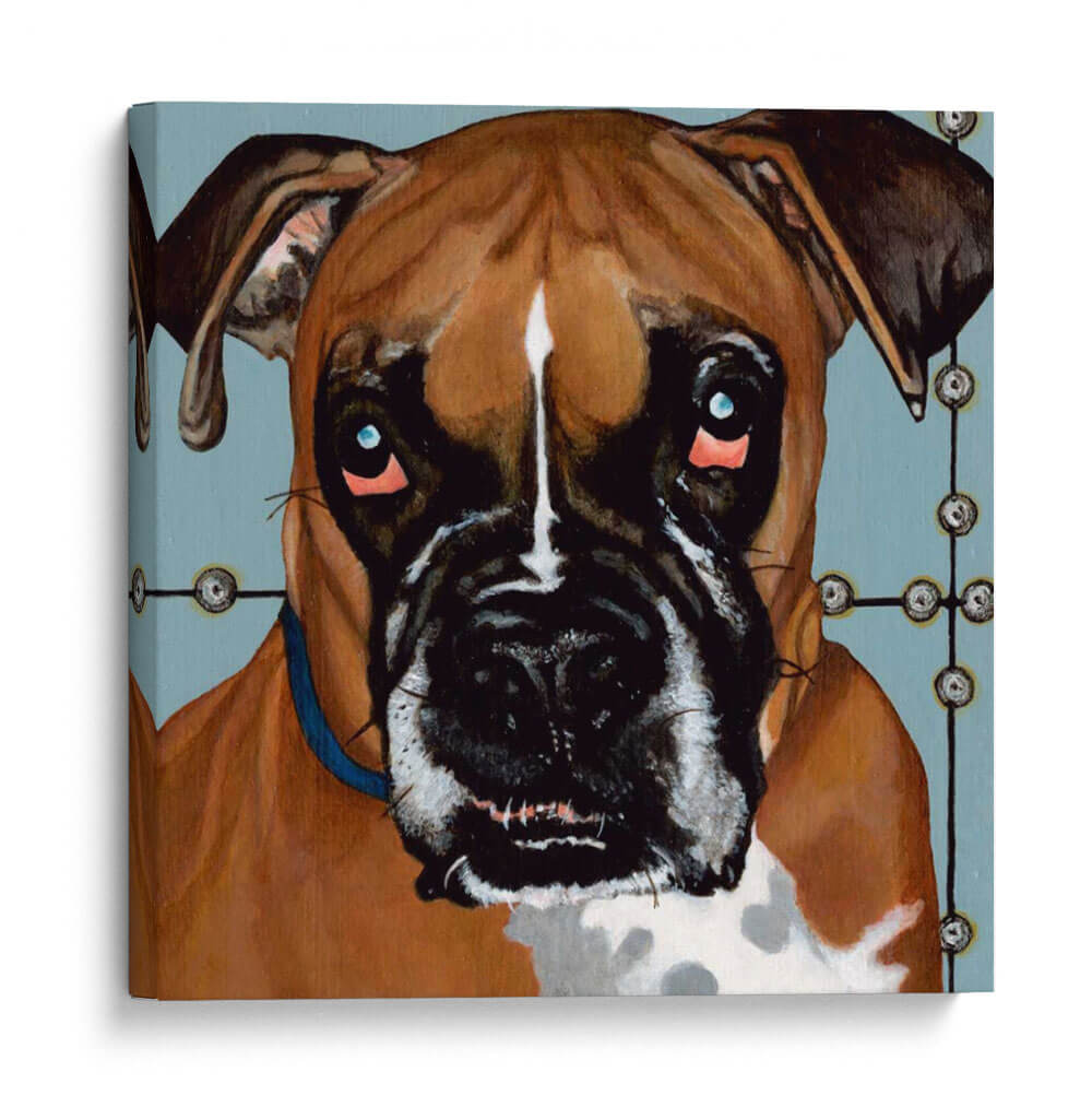 Dogs Drynns - Rocco - Dylnn Roll | Cuadro decorativo de Canvas Lab