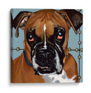 Dogs Drynns - Rocco - Dylnn Roll | Cuadro decorativo de Canvas Lab