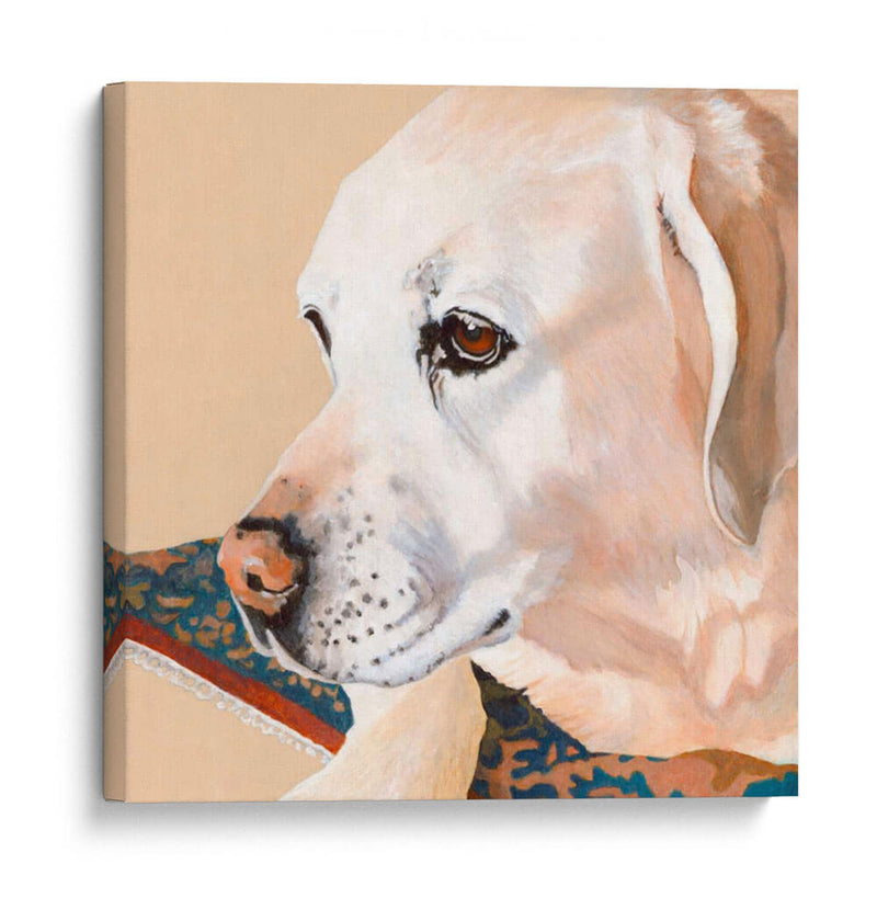 Dogs Drlynns - Shell - Dylnn Roll | Cuadro decorativo de Canvas Lab