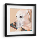 Dogs Drlynns - Shell - Dylnn Roll | Cuadro decorativo de Canvas Lab