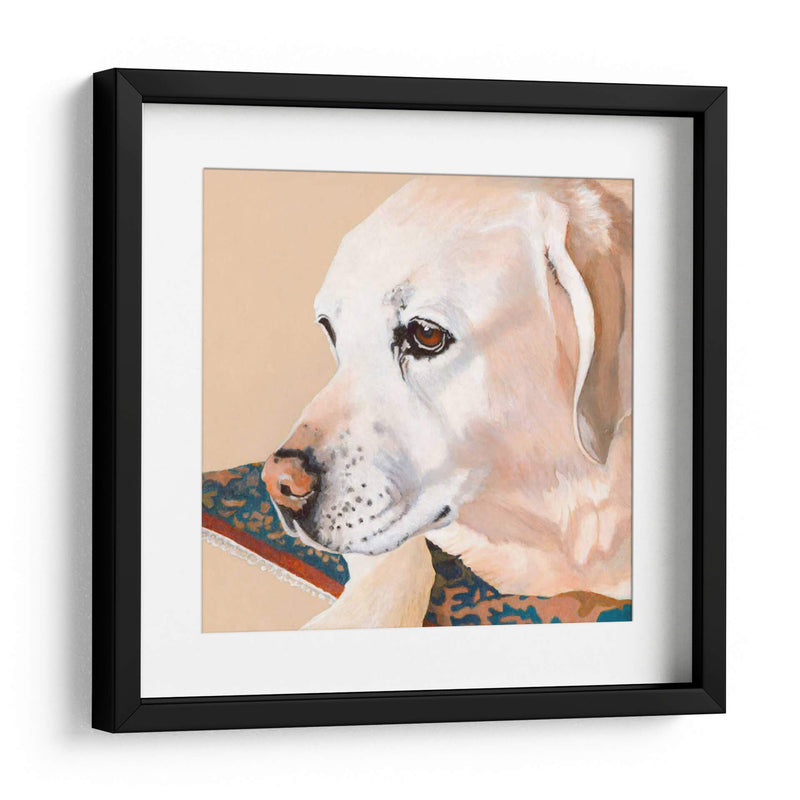 Dogs Drlynns - Shell - Dylnn Roll | Cuadro decorativo de Canvas Lab