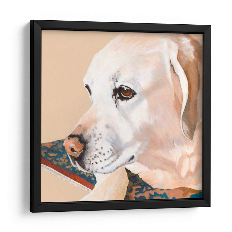 Dogs Drlynns - Shell - Dylnn Roll | Cuadro decorativo de Canvas Lab