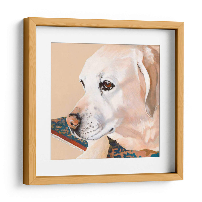 Dogs Drlynns - Shell - Dylnn Roll | Cuadro decorativo de Canvas Lab