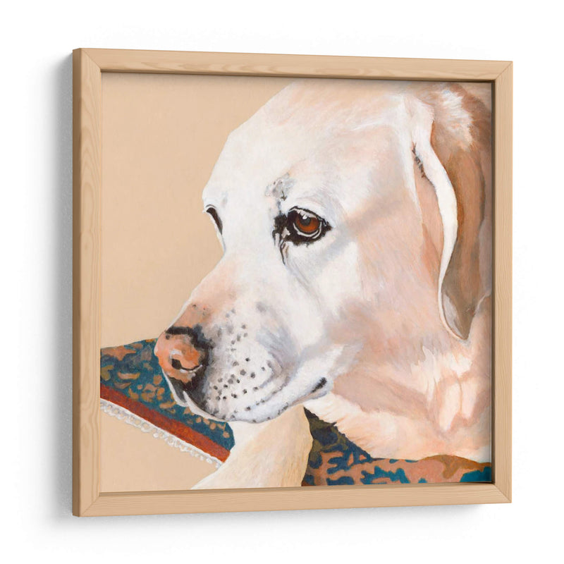 Dogs Drlynns - Shell - Dylnn Roll | Cuadro decorativo de Canvas Lab