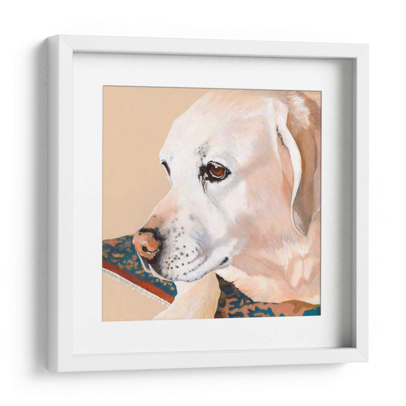 Dogs Drlynns - Shell - Dylnn Roll | Cuadro decorativo de Canvas Lab