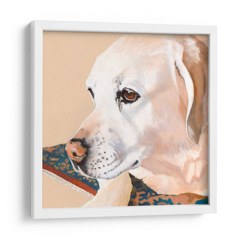 Dogs Drlynns - Shell - Dylnn Roll | Cuadro decorativo de Canvas Lab