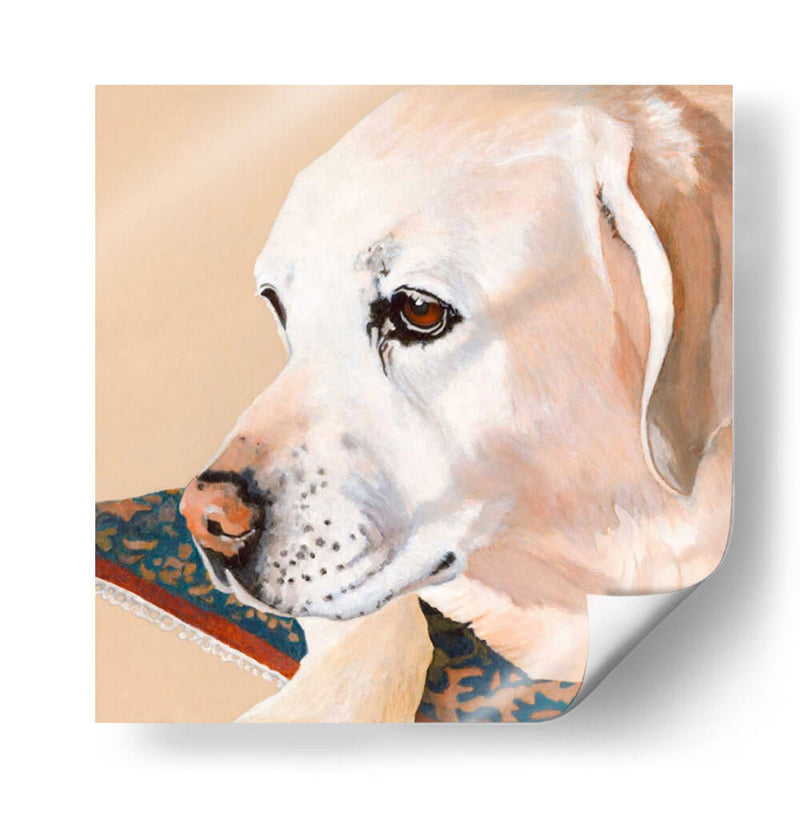 Dogs Drlynns - Shell - Dylnn Roll | Cuadro decorativo de Canvas Lab