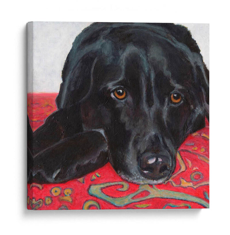 Dogs Drynns - Tallulah - Dylnn Roll | Cuadro decorativo de Canvas Lab