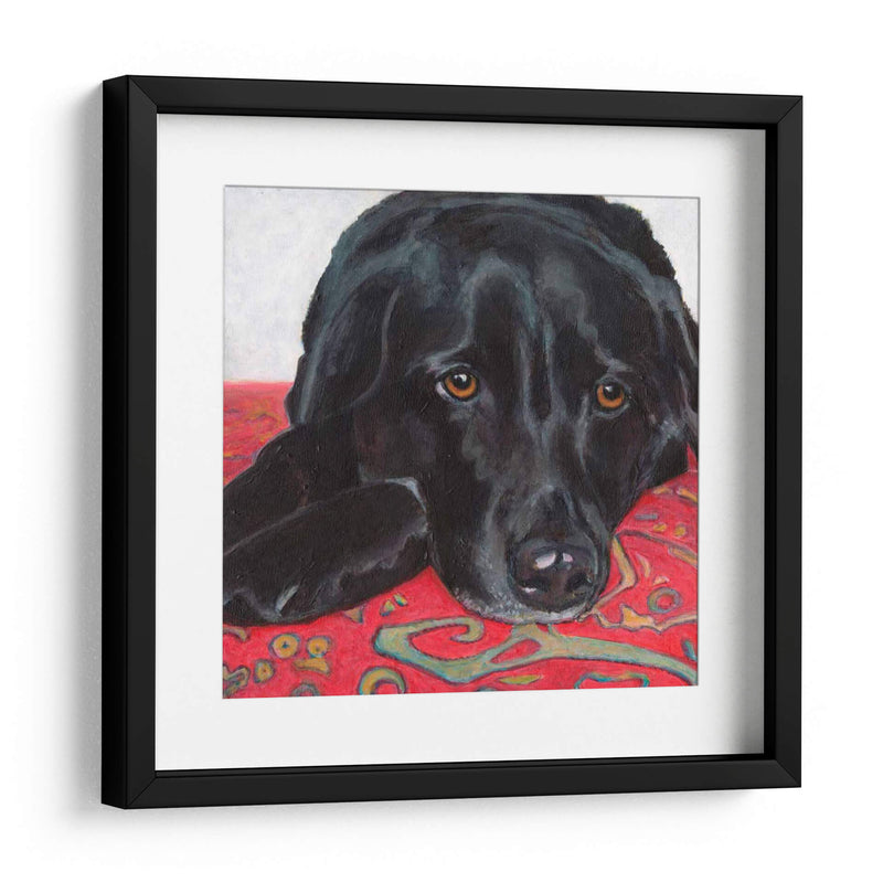 Dogs Drynns - Tallulah - Dylnn Roll | Cuadro decorativo de Canvas Lab