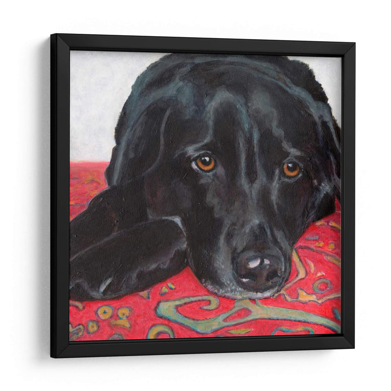 Dogs Drynns - Tallulah - Dylnn Roll | Cuadro decorativo de Canvas Lab