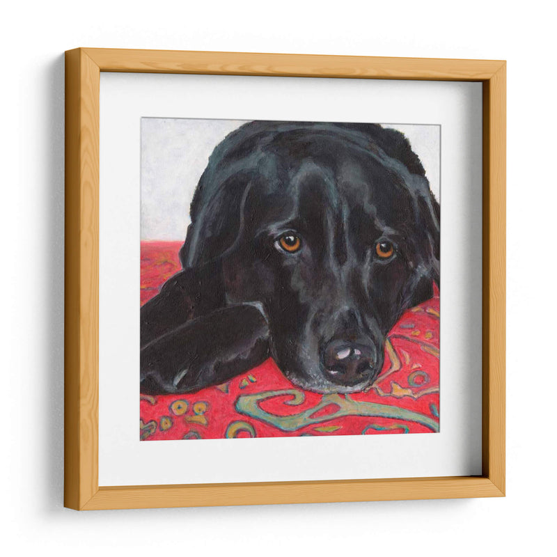 Dogs Drynns - Tallulah - Dylnn Roll | Cuadro decorativo de Canvas Lab