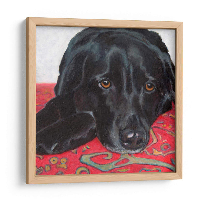 Dogs Drynns - Tallulah - Dylnn Roll | Cuadro decorativo de Canvas Lab