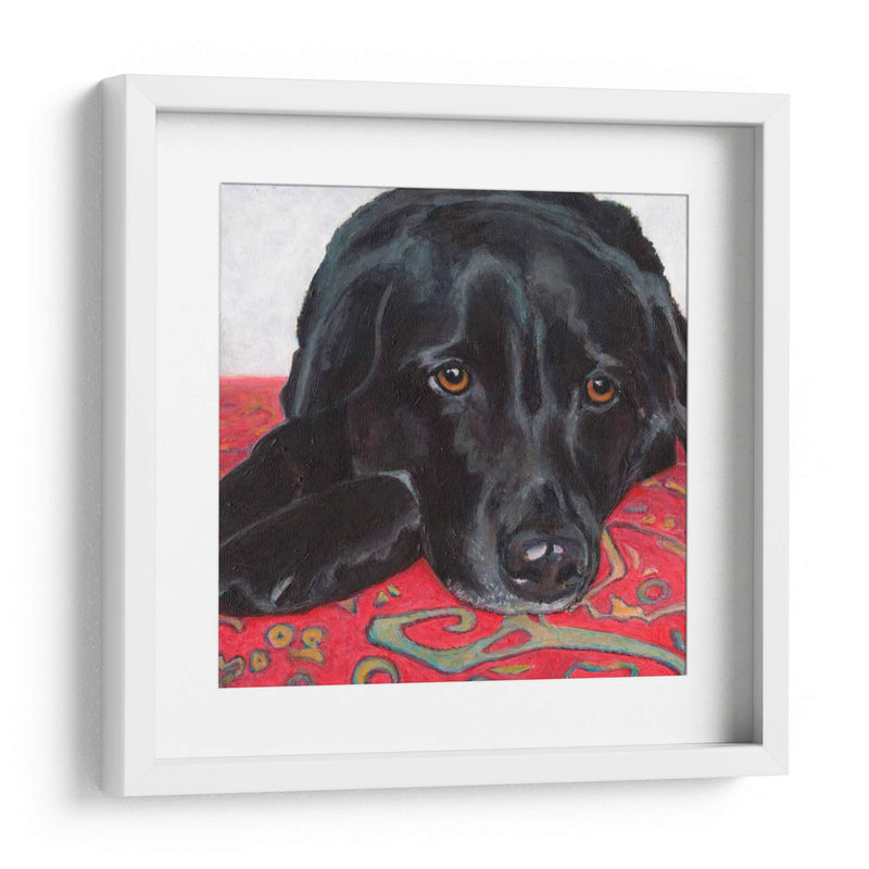 Dogs Drynns - Tallulah - Dylnn Roll | Cuadro decorativo de Canvas Lab