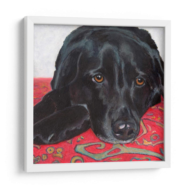 Dogs Drynns - Tallulah - Dylnn Roll | Cuadro decorativo de Canvas Lab