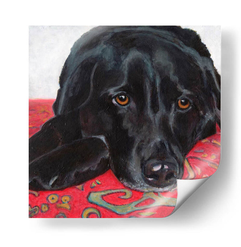 Dogs Drynns - Tallulah - Dylnn Roll | Cuadro decorativo de Canvas Lab