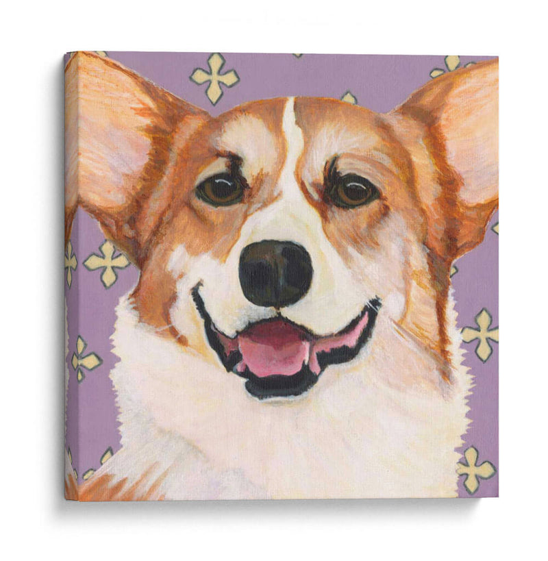 Dogs Drynns - Teddy - Dylnn Roll | Cuadro decorativo de Canvas Lab