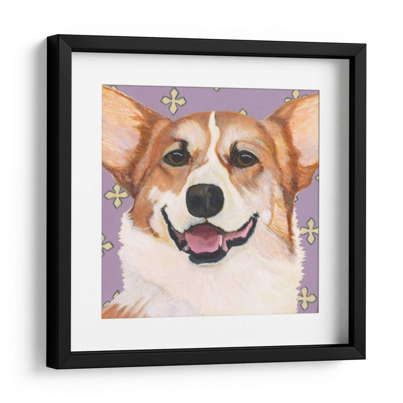 Dogs Drynns - Teddy - Dylnn Roll | Cuadro decorativo de Canvas Lab