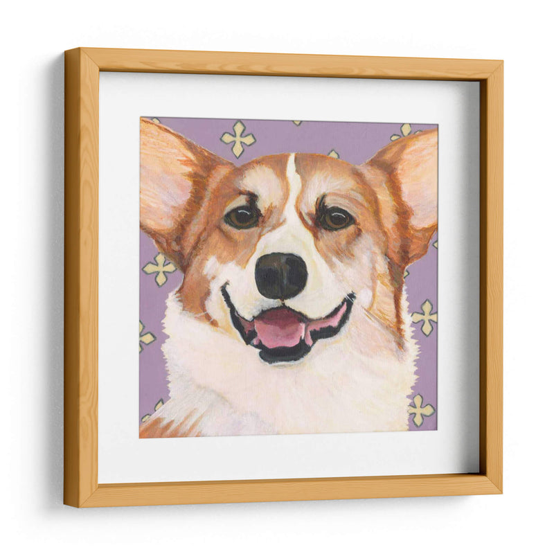 Dogs Drynns - Teddy - Dylnn Roll | Cuadro decorativo de Canvas Lab