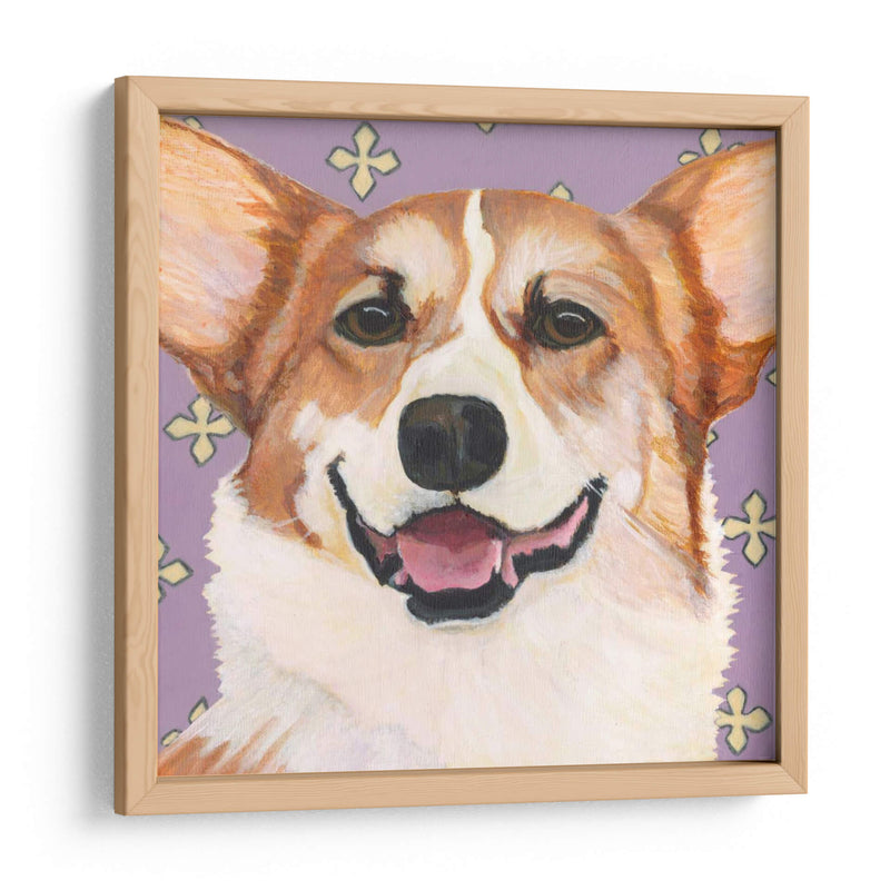 Dogs Drynns - Teddy - Dylnn Roll | Cuadro decorativo de Canvas Lab