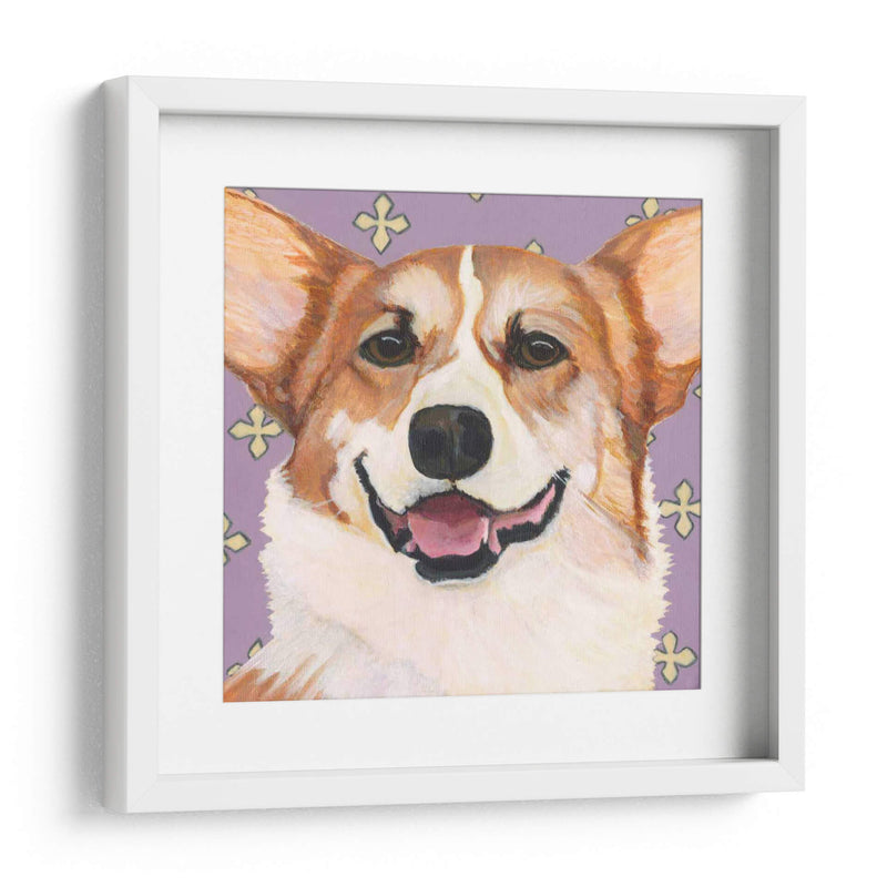 Dogs Drynns - Teddy - Dylnn Roll | Cuadro decorativo de Canvas Lab