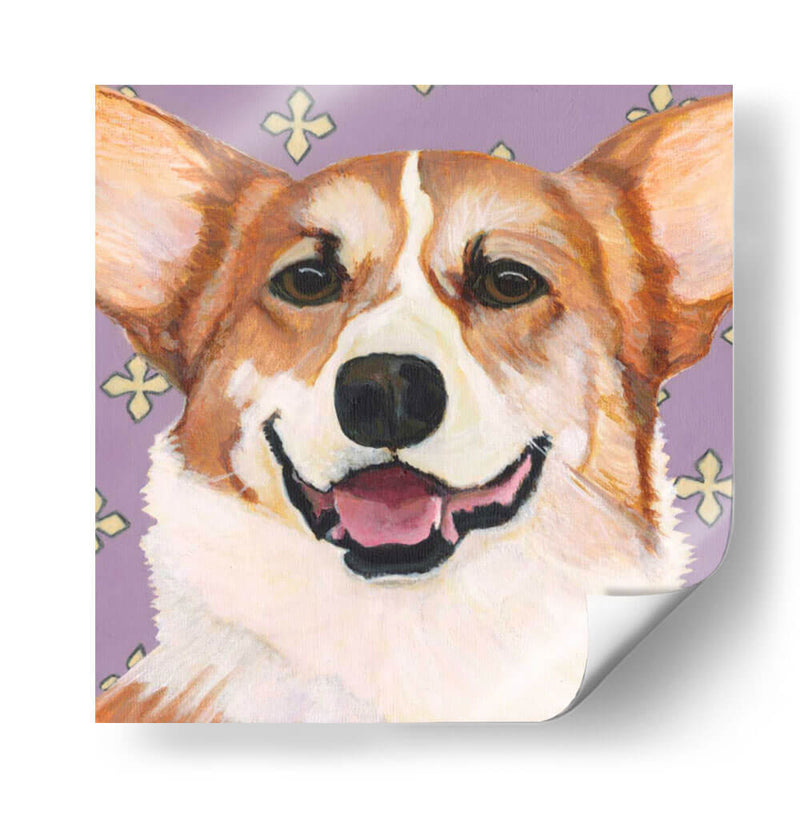 Dogs Drynns - Teddy - Dylnn Roll | Cuadro decorativo de Canvas Lab